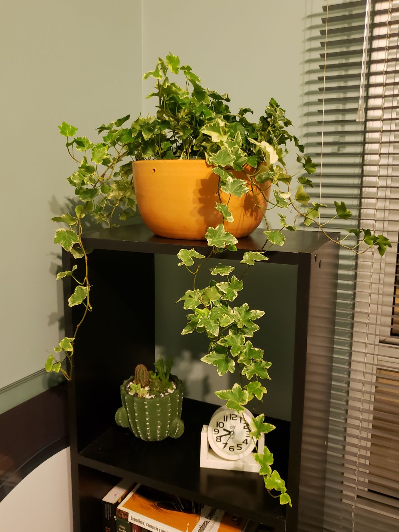 Vanessa De Andrade-8