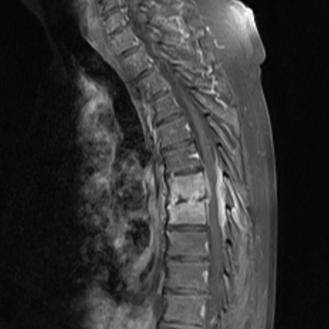 David Tafur Muñoz-1764