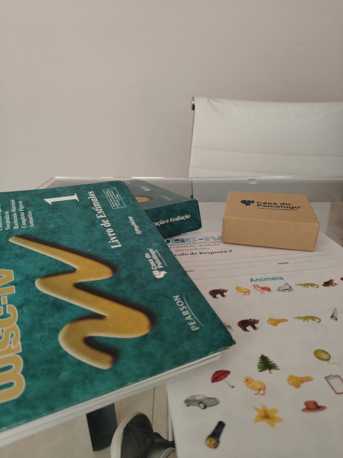 Gislene De Mello Coimbras De Almeida-4