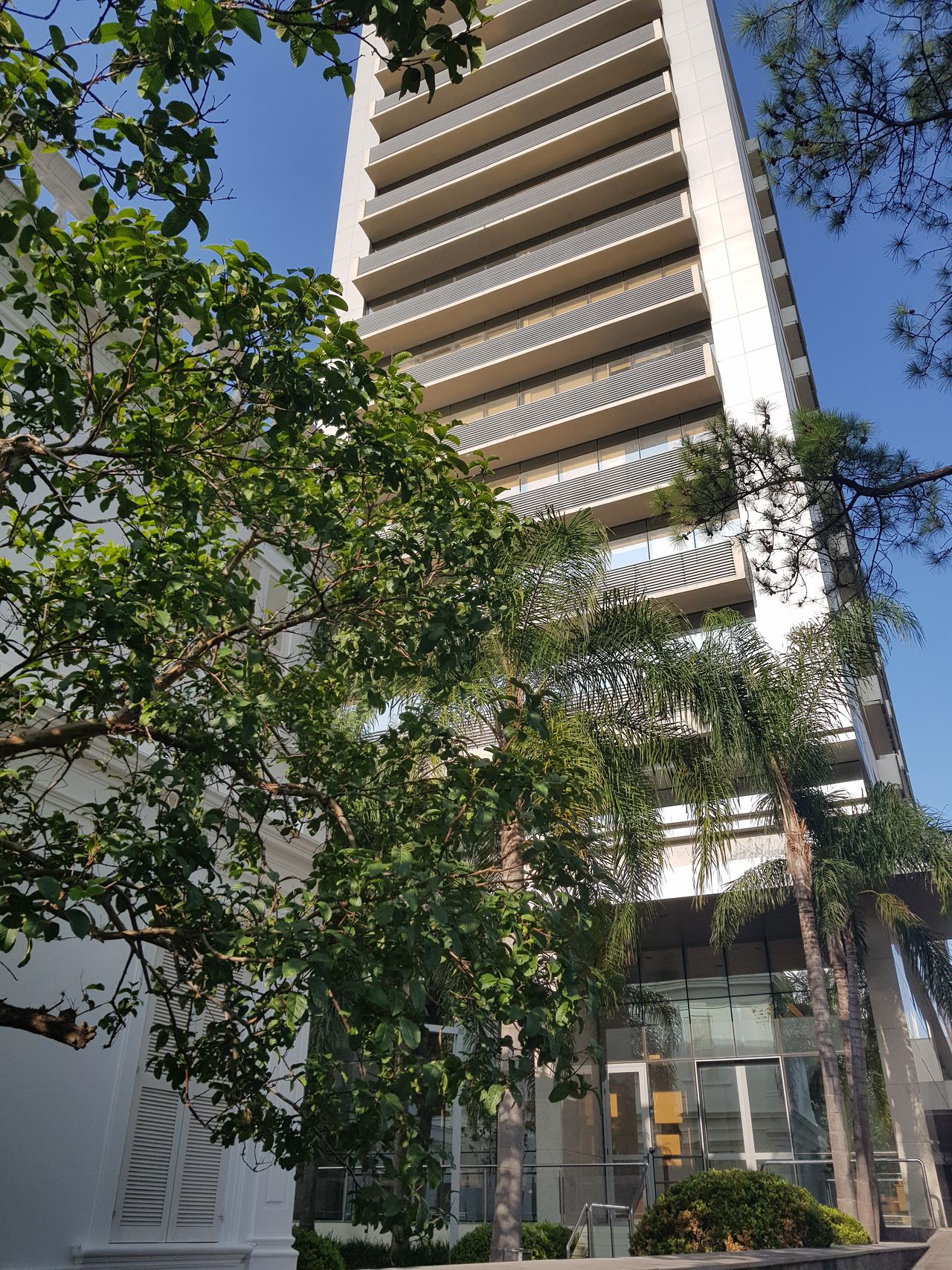 Fabiana Miqueiro Ruetalo-2