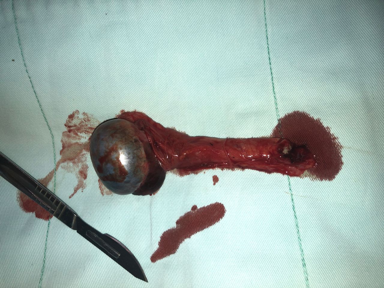 Raúl Federico Larcade-7