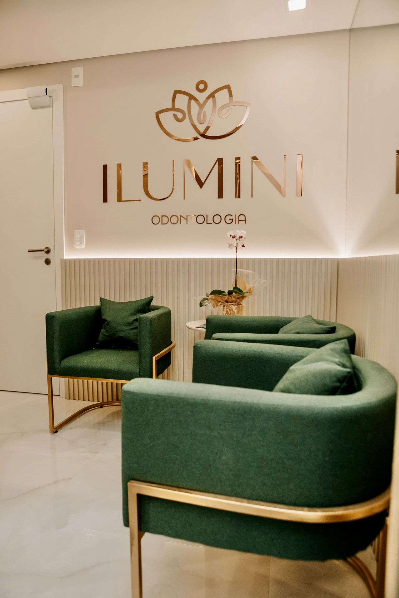 Maria Eduarda Lanes Baldino-1