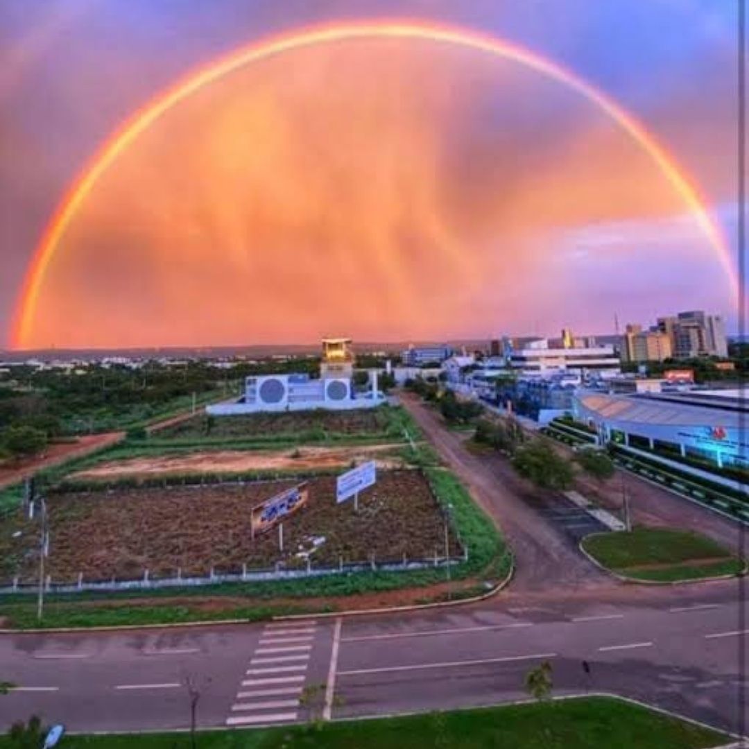 Hamilton Franco Filho-23