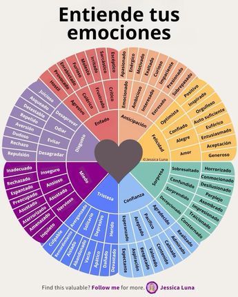 Danisa Sfeir Duran-5