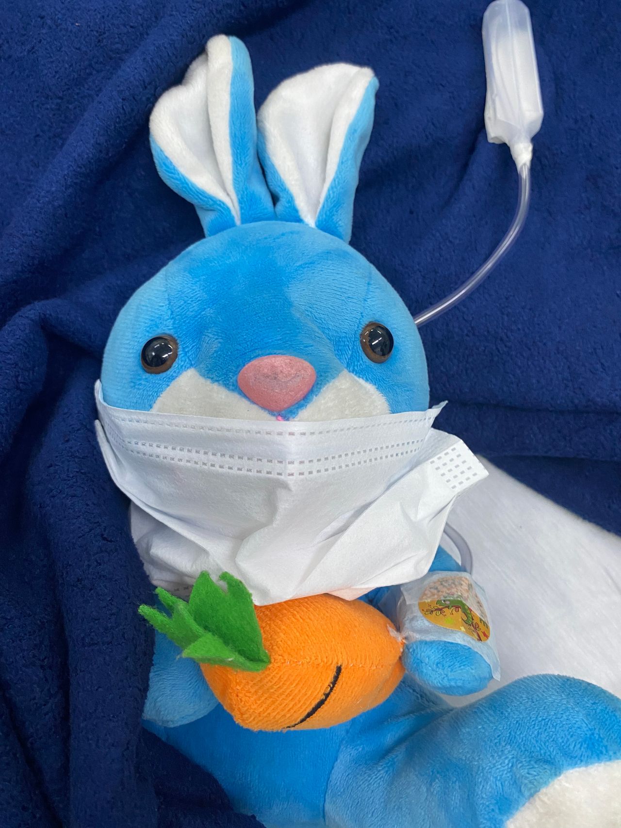 Ália Charif Penchel-3