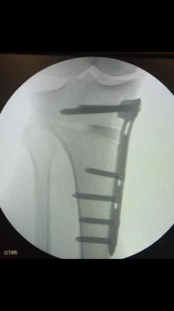 Dimitri Lovisaro Rumiantzeff-4