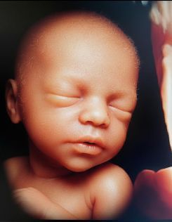 Luis Francisco Baquero Orrego-0