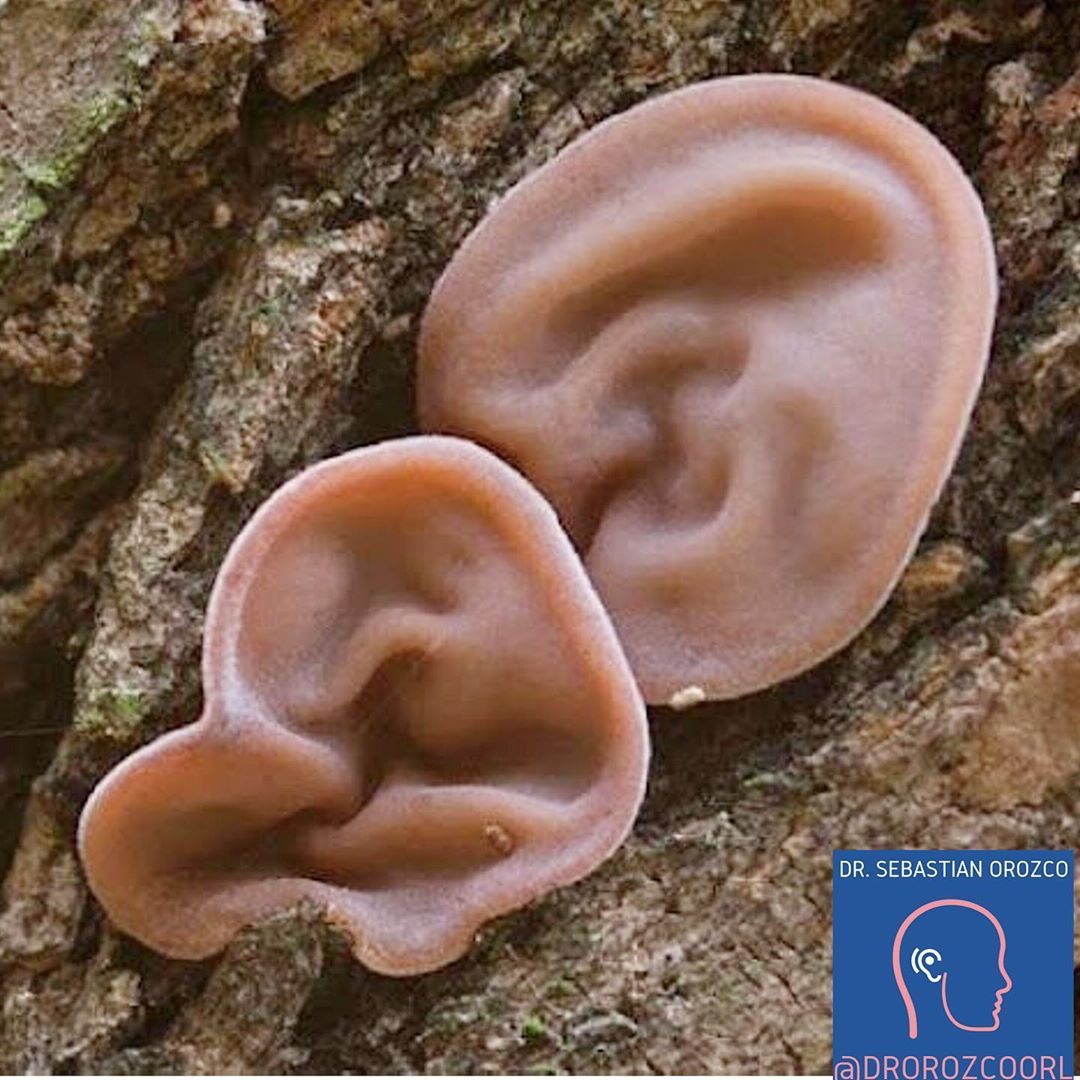 Sebastian Orozco Arteaga-29