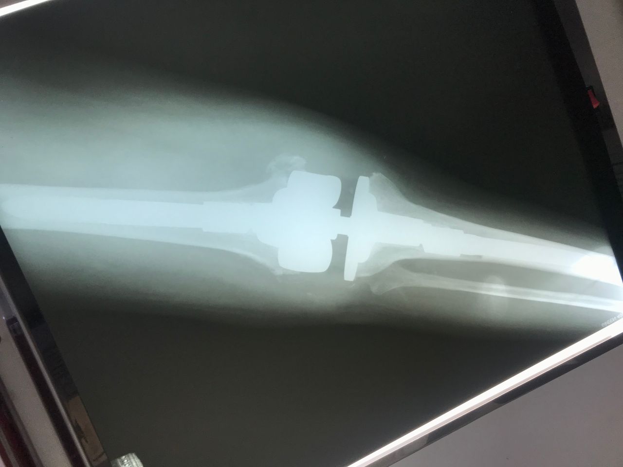 Eduardo Ramalho De Moraes-5