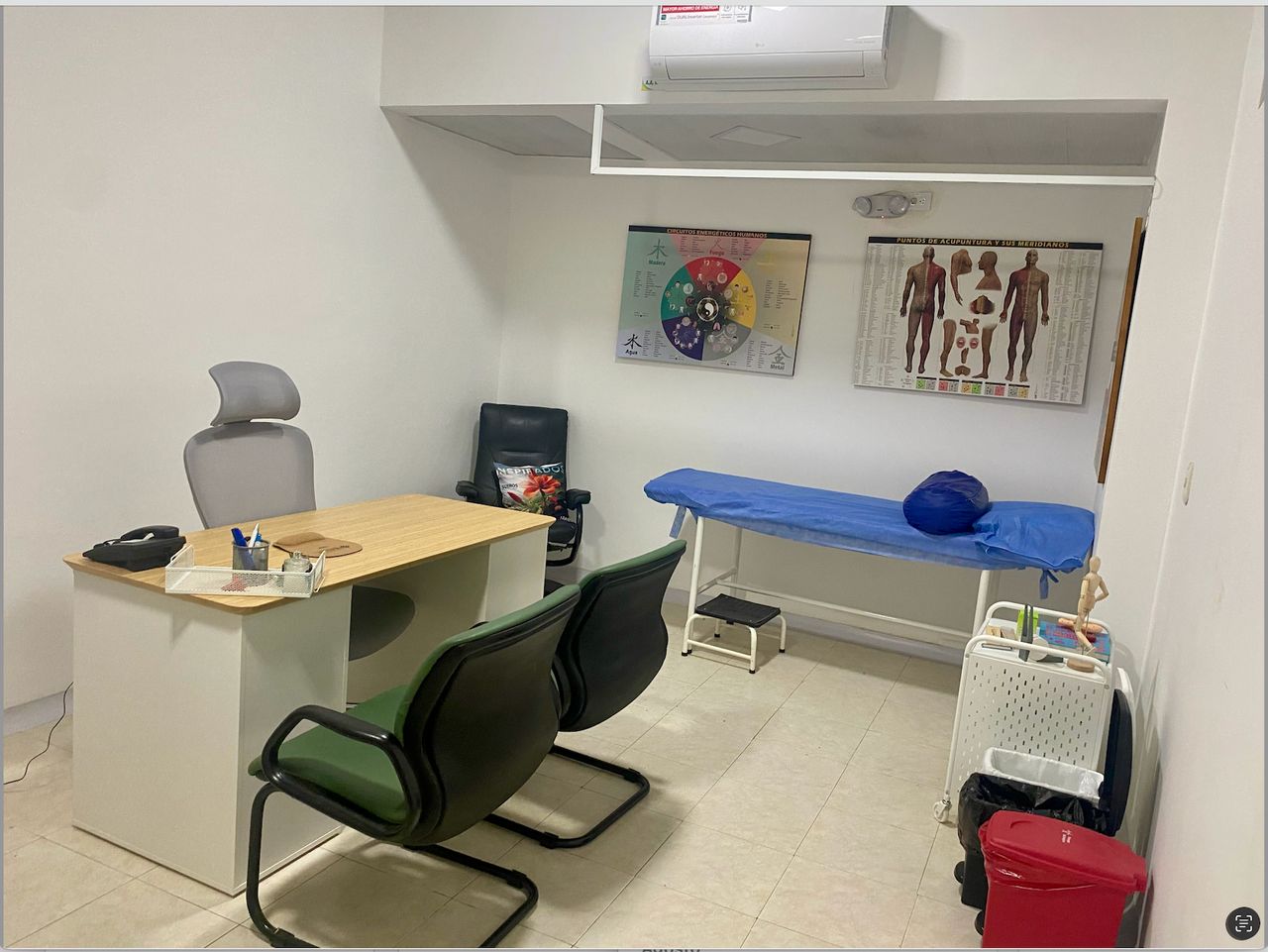 María Camila Ortiz Estrada-1