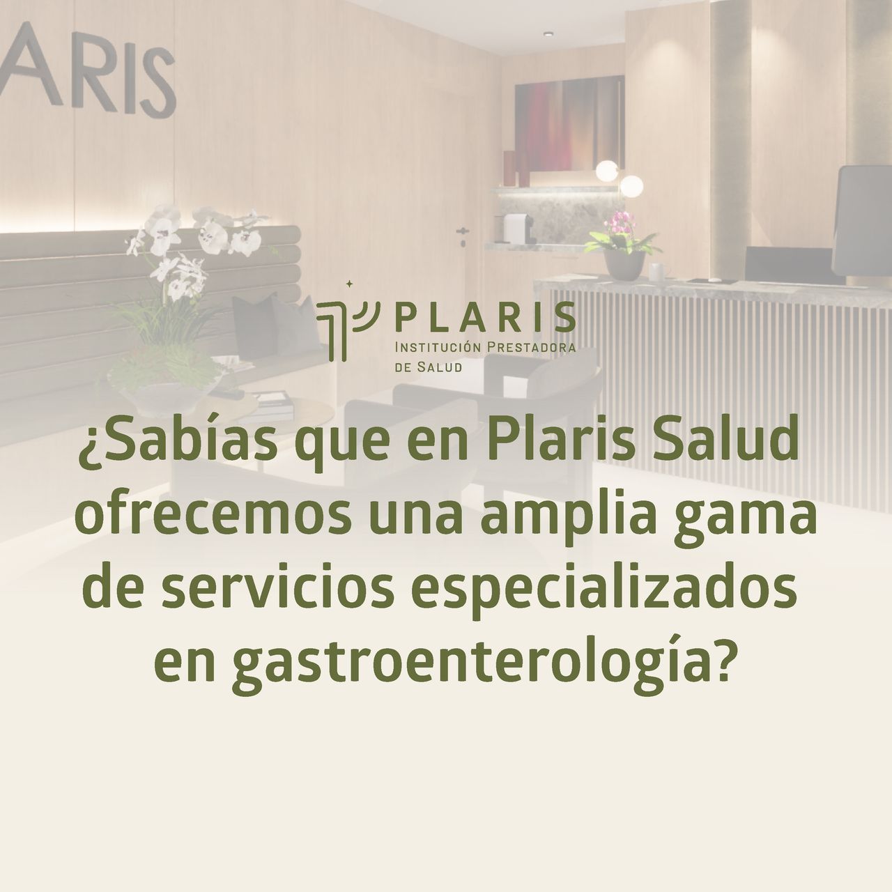 Dinimo José Bolívar Sáenz-9