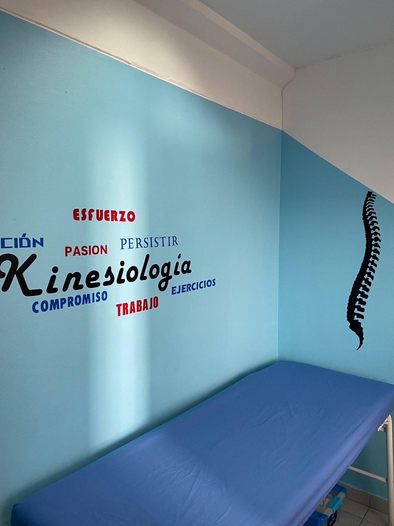 Rodrigo Araya Villalobos-6