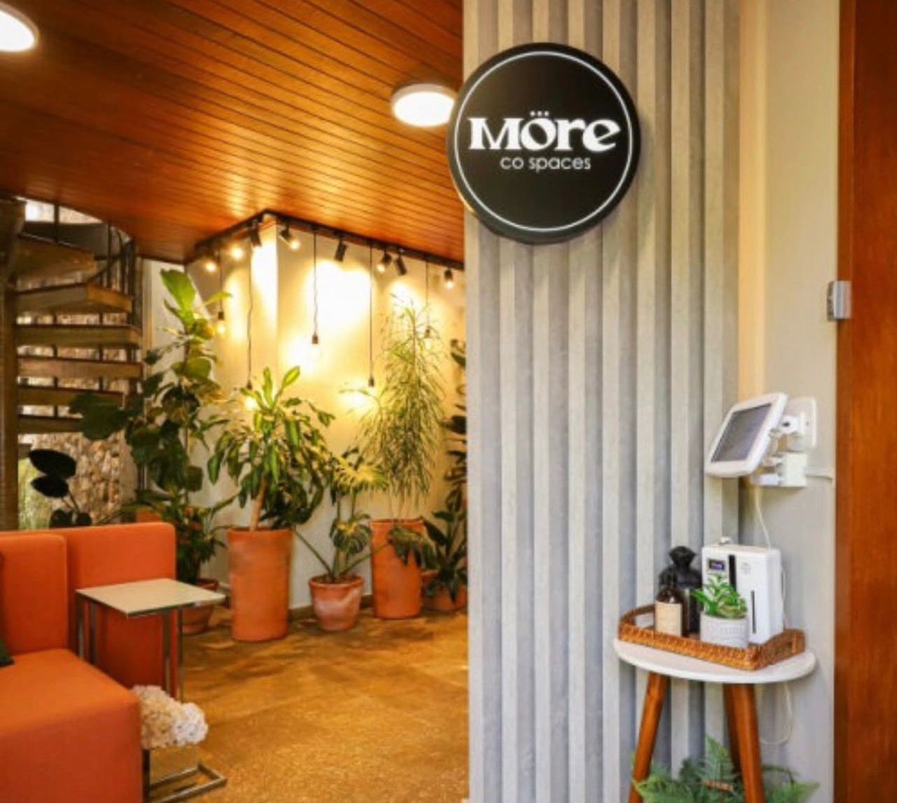  Fernanda     Belizario-10