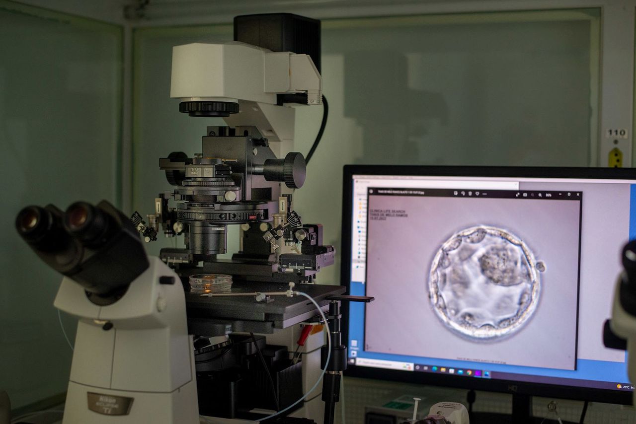 Francisco De Assis Nunes Pereira-14