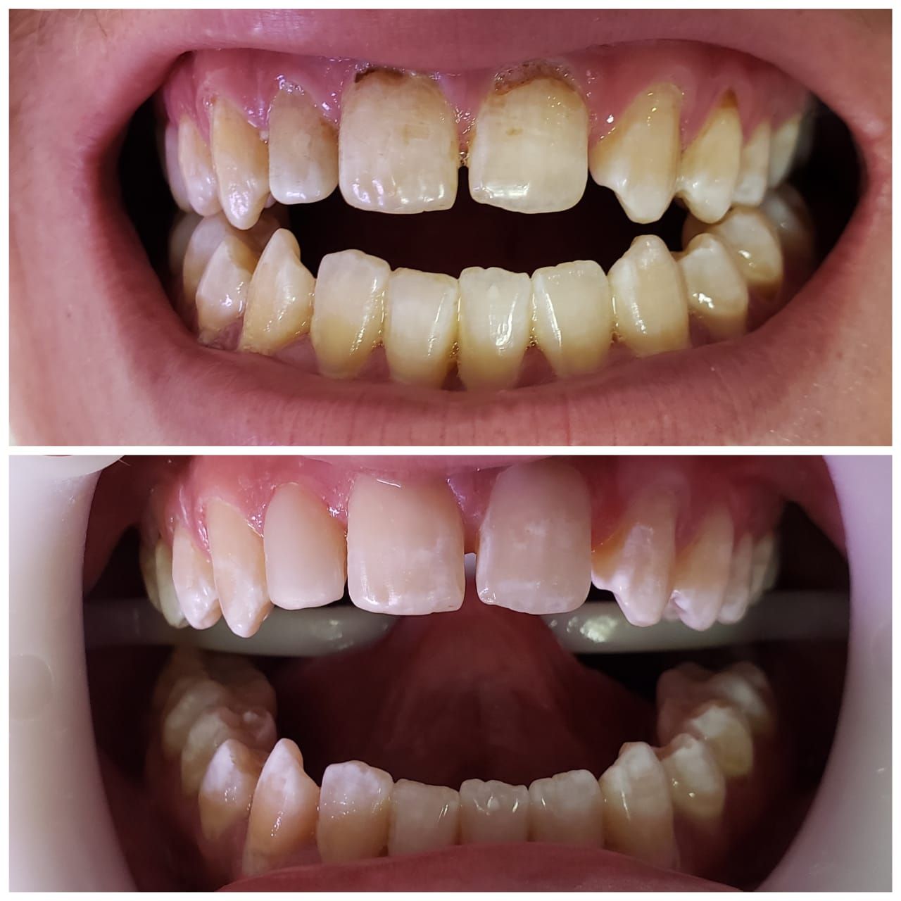 Marcia Faria Beniste-57