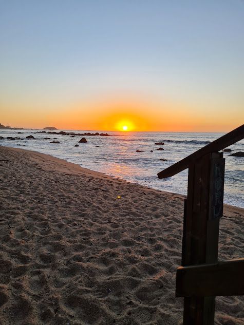 Romy Bravovisch Froimovich-9