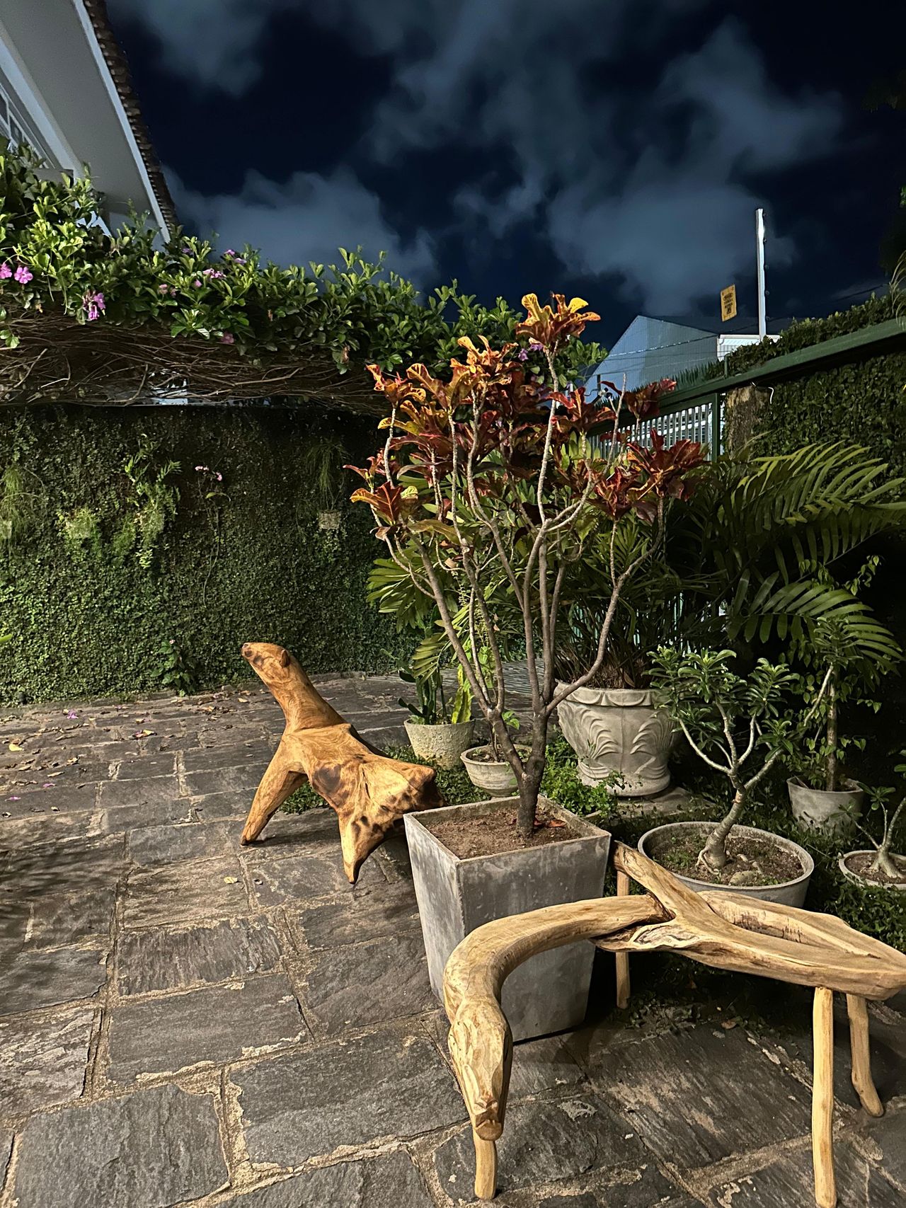 Maria Thereza Caxias Albano-5