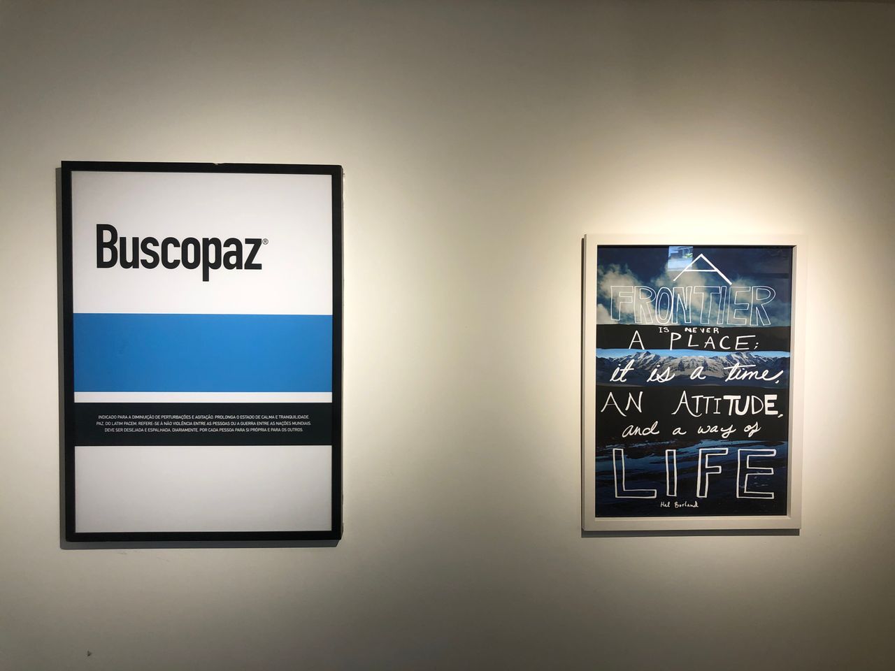 Andre Luiz Carvalho Netto-6