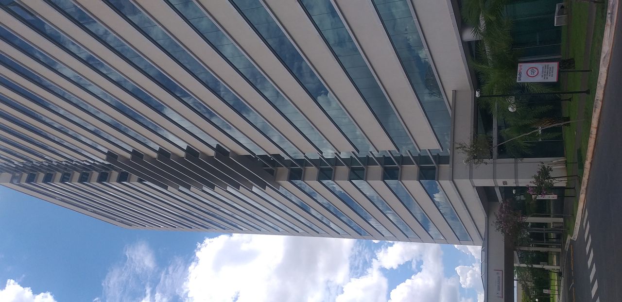 Mary Elly Negrão-11