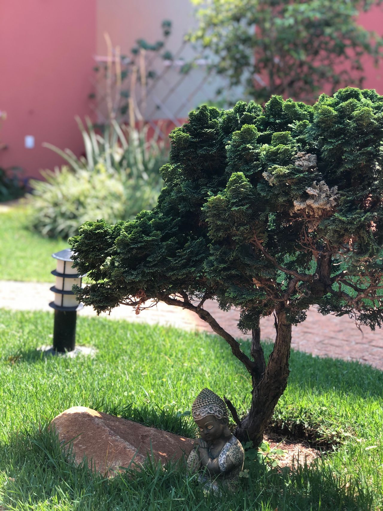 Stella Vidal S. Torres-1