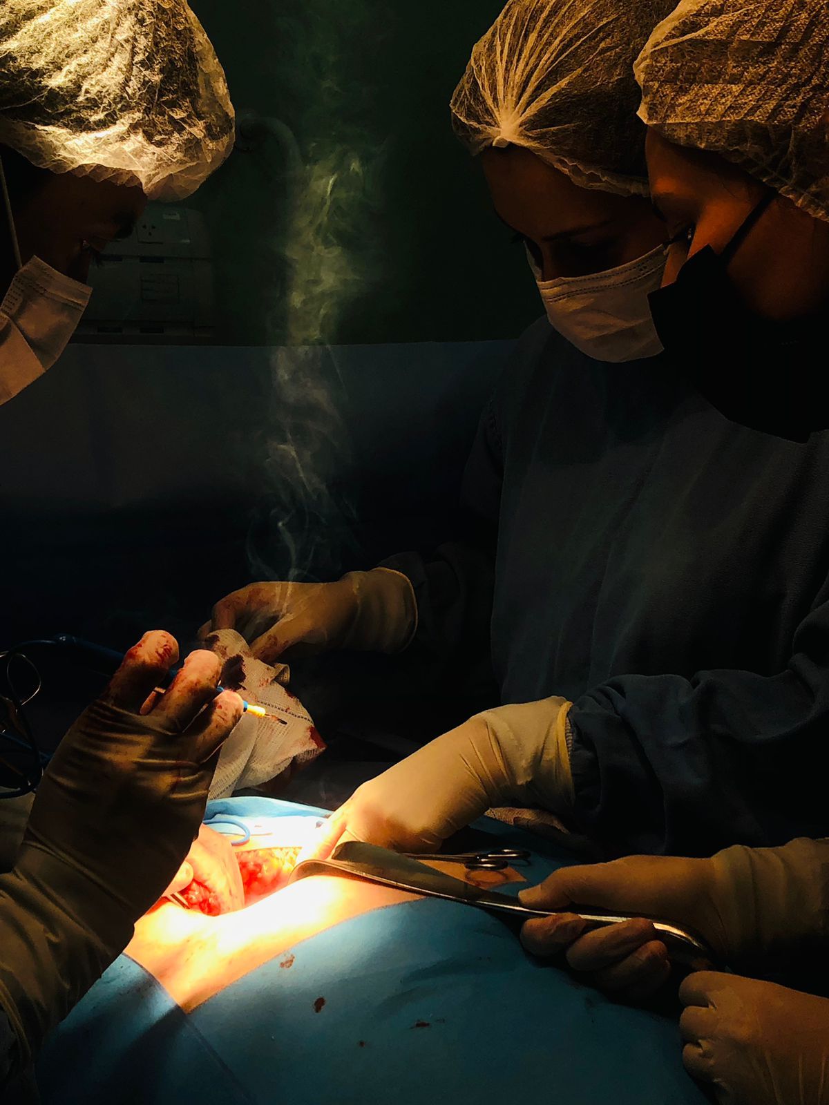 Bianca Marochi Koltun-3