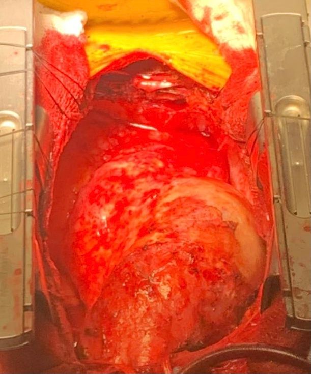 Maria Cristina Rezende-1