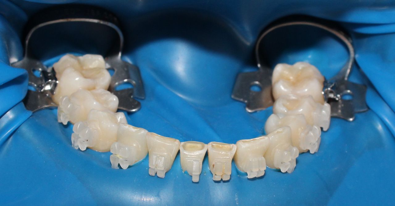 Luisa Fernanda Galvis Arcila-11