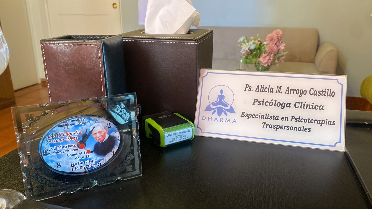 Alicia Maria Arroyo Castillo-35