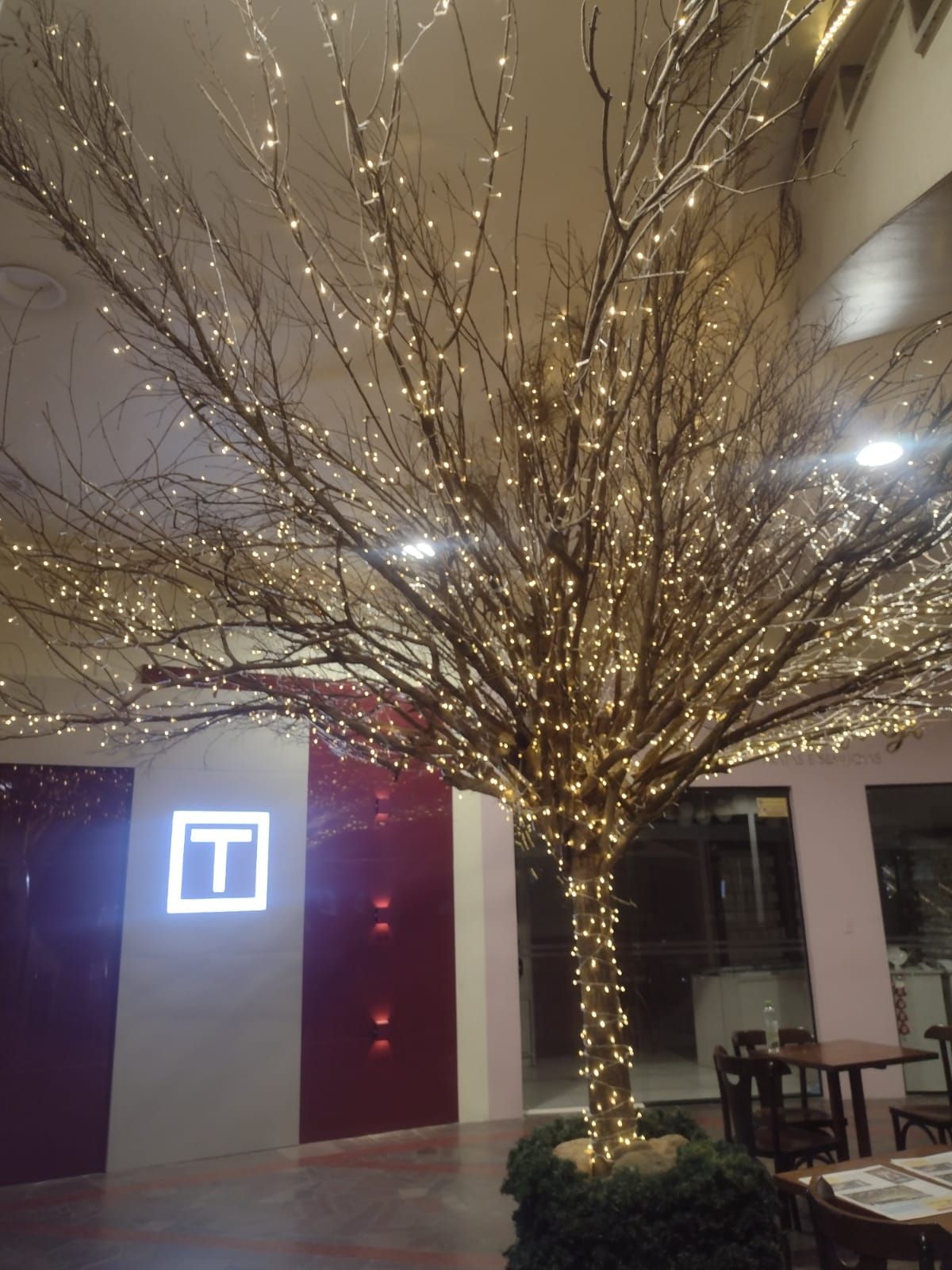 Larissa Da Silva Ramos-3