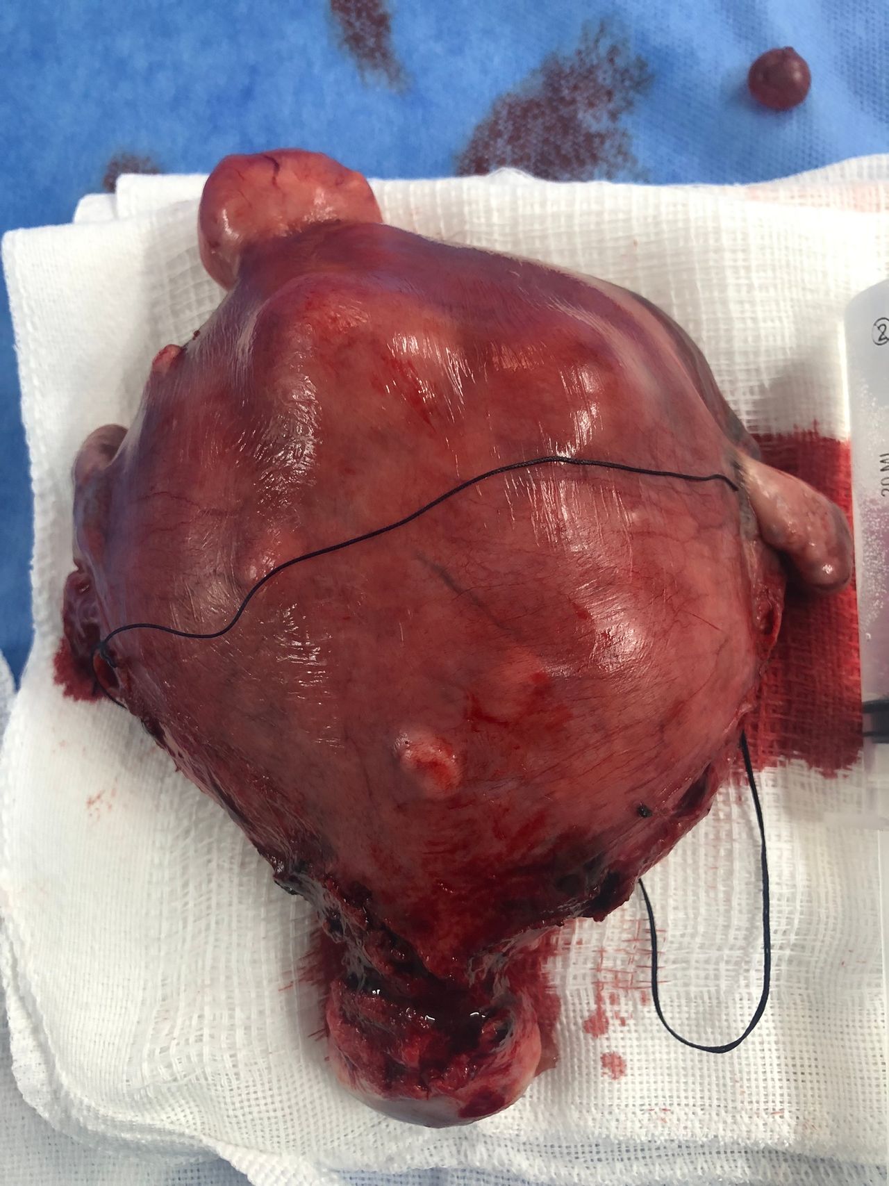 Paulo Cesar P Zarco Da Camara-1