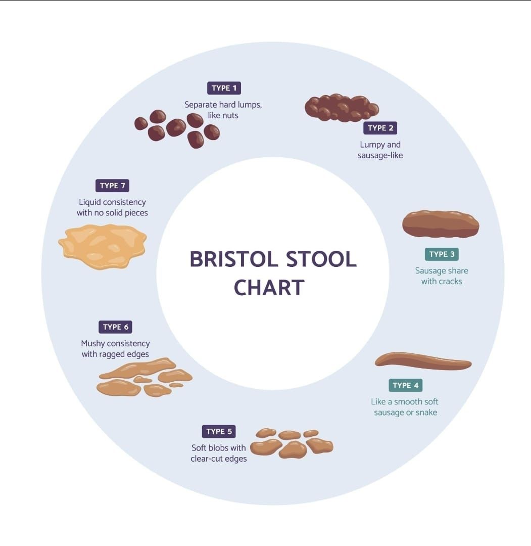 Elizabeth Mercedes Garcia Gonzalez-1