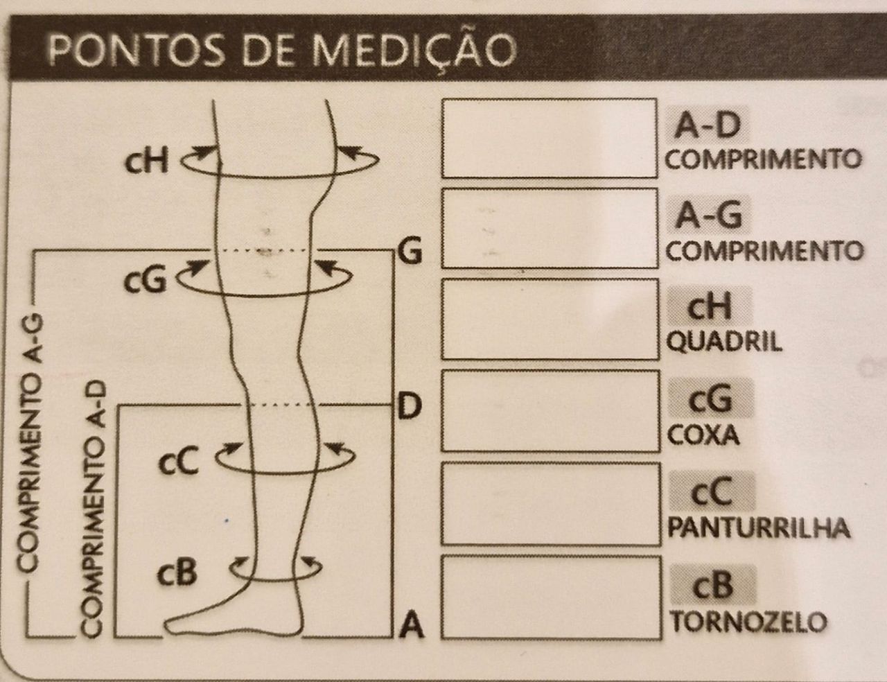 Fernanda De Oliveira Brito-8