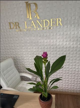 Lander Roberto Borges-1