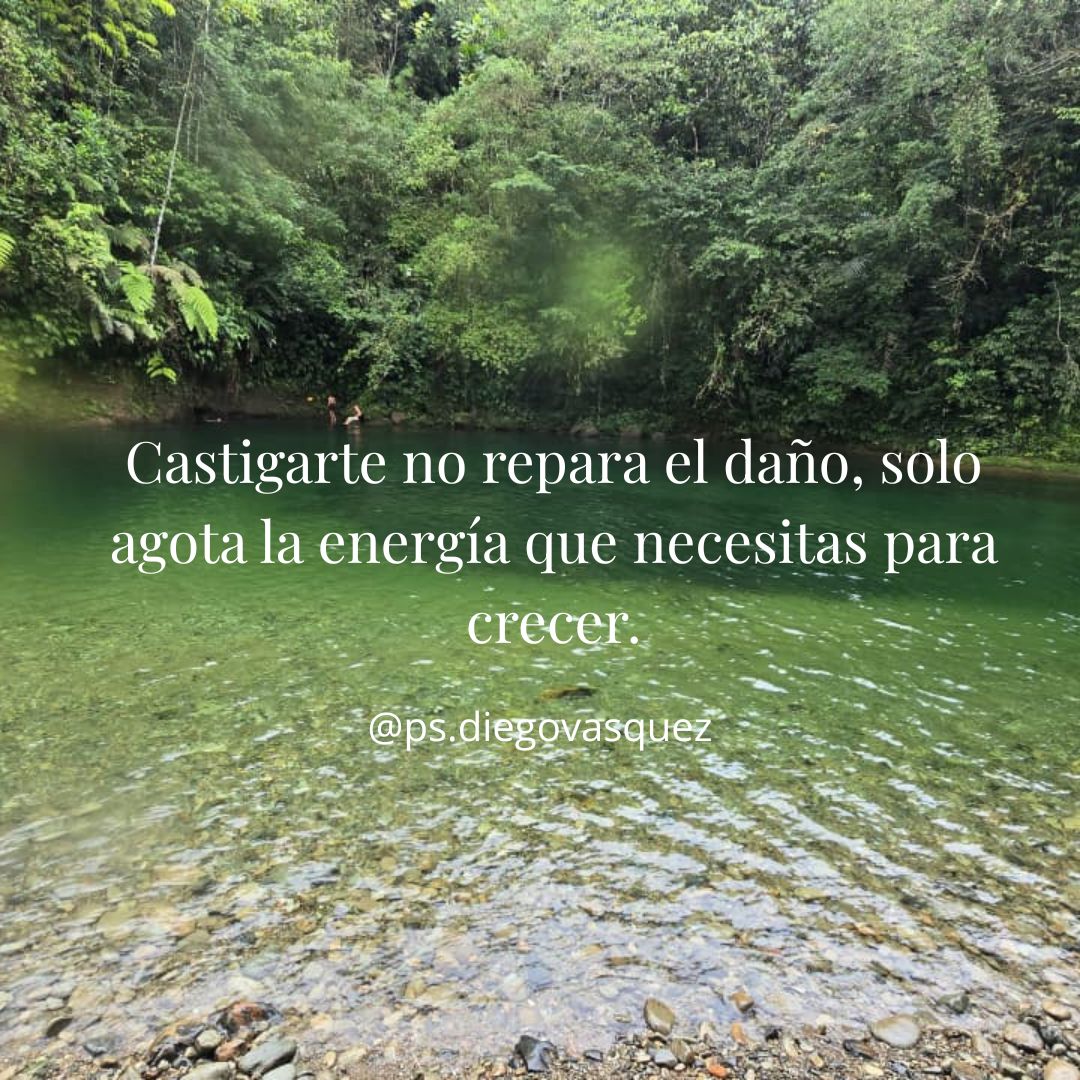 Diego Fernando Vasquez Espinosa-18