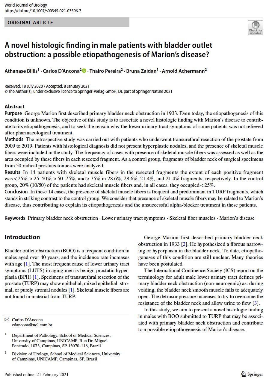 Arnold Peter Paul Achermann-18