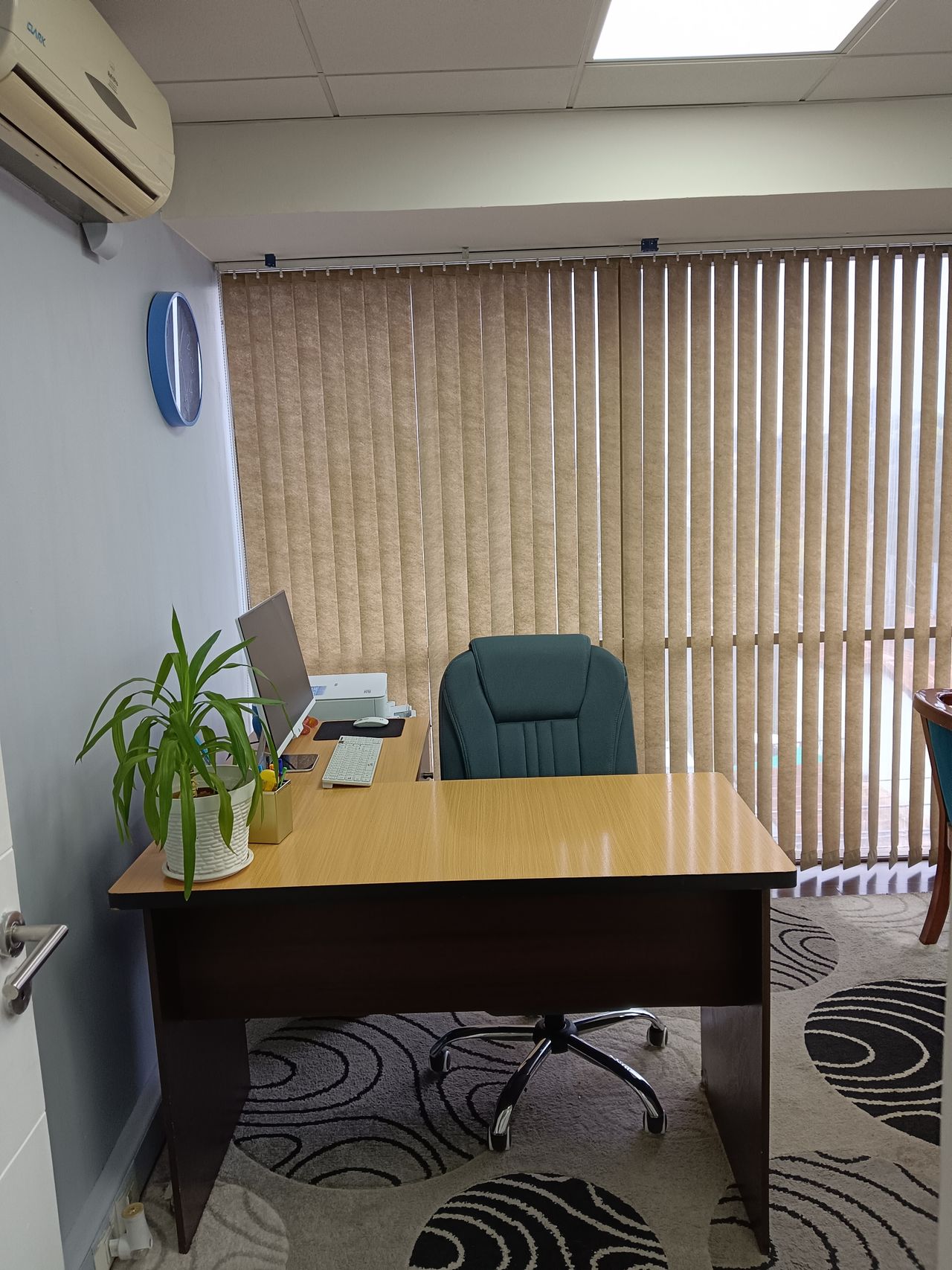 Viviana Moya Navarro-5