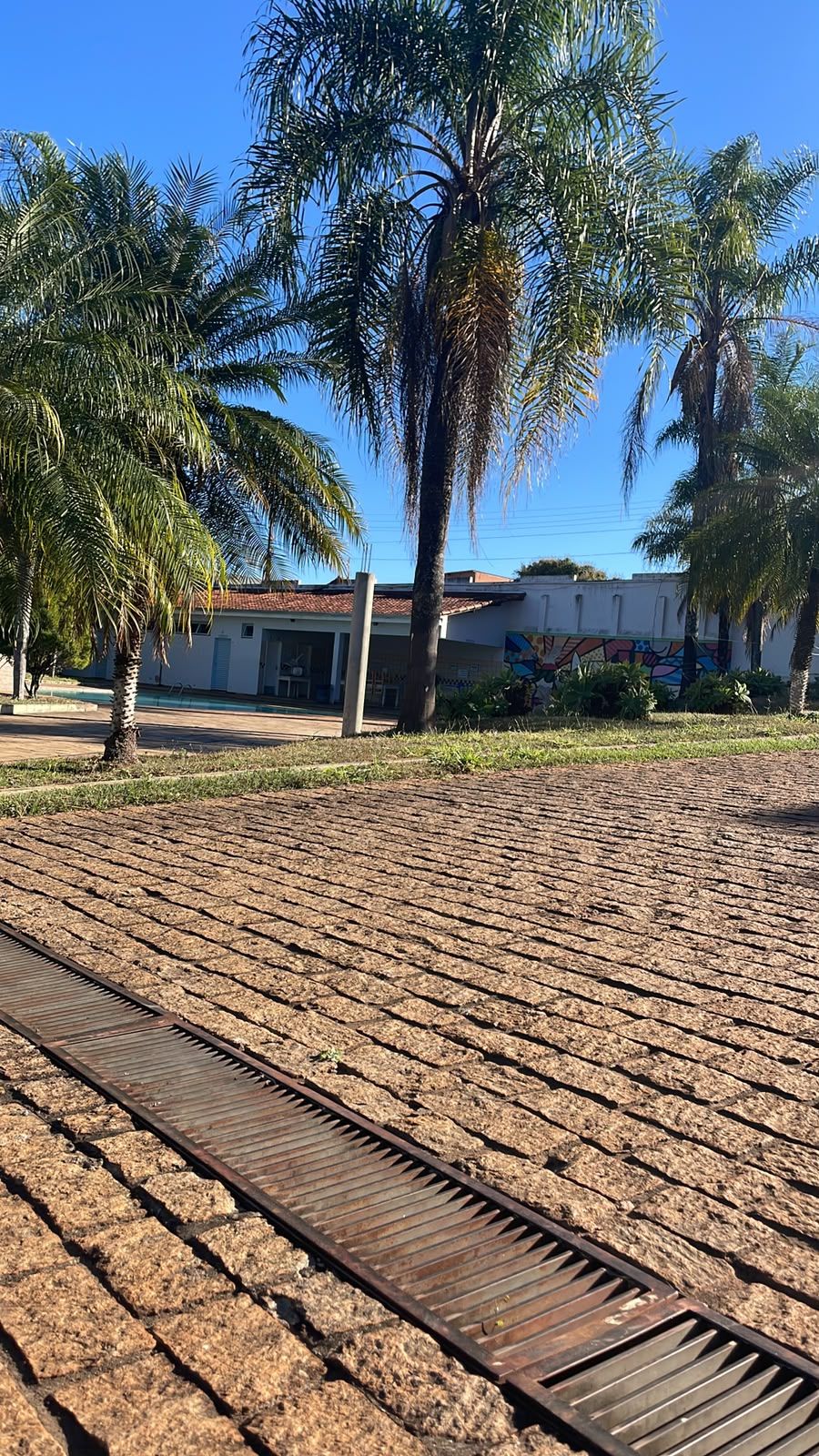 Danilo Caetano-9