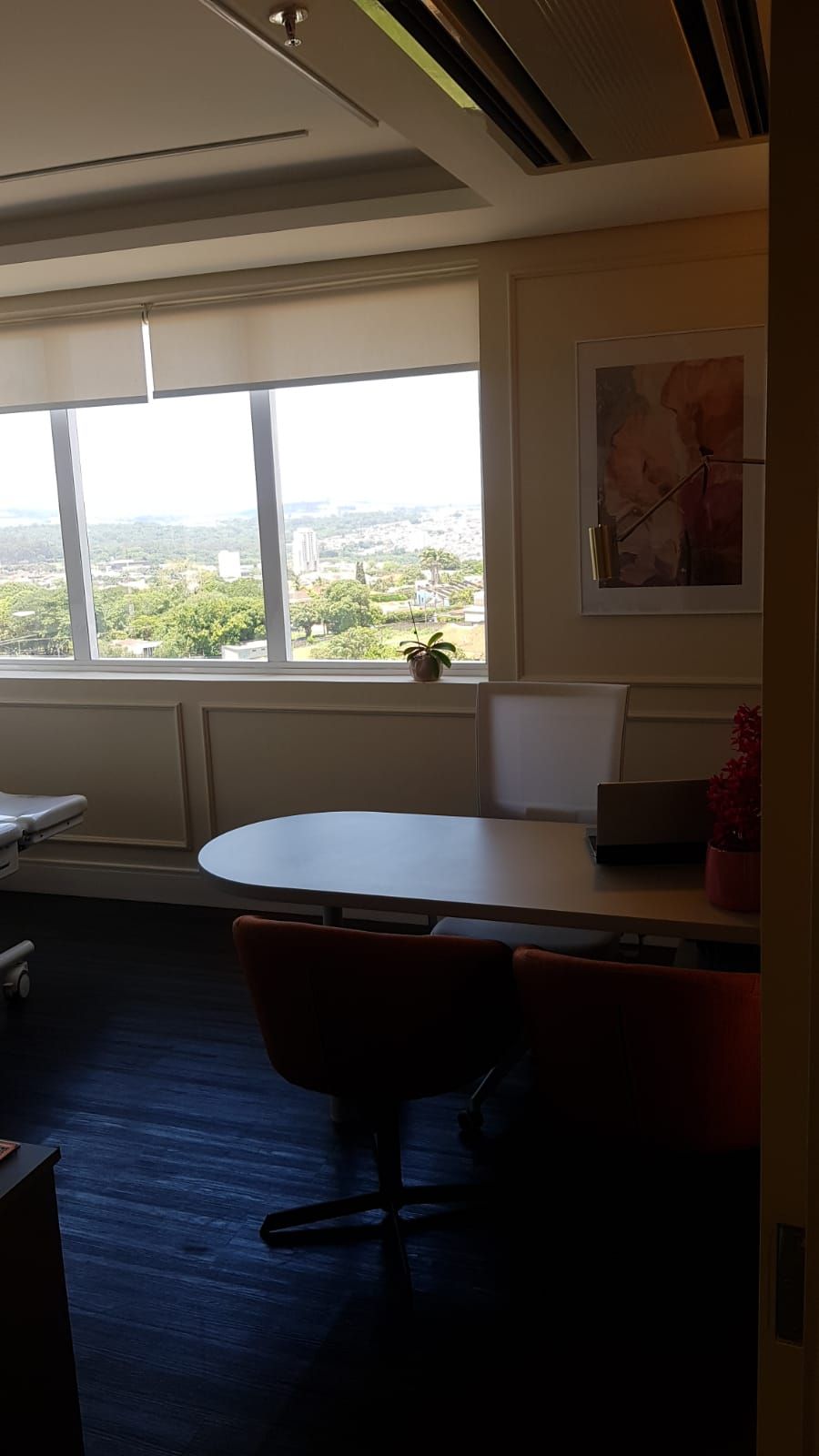 Renata Christina De Mello Figueiredo Delfino-2