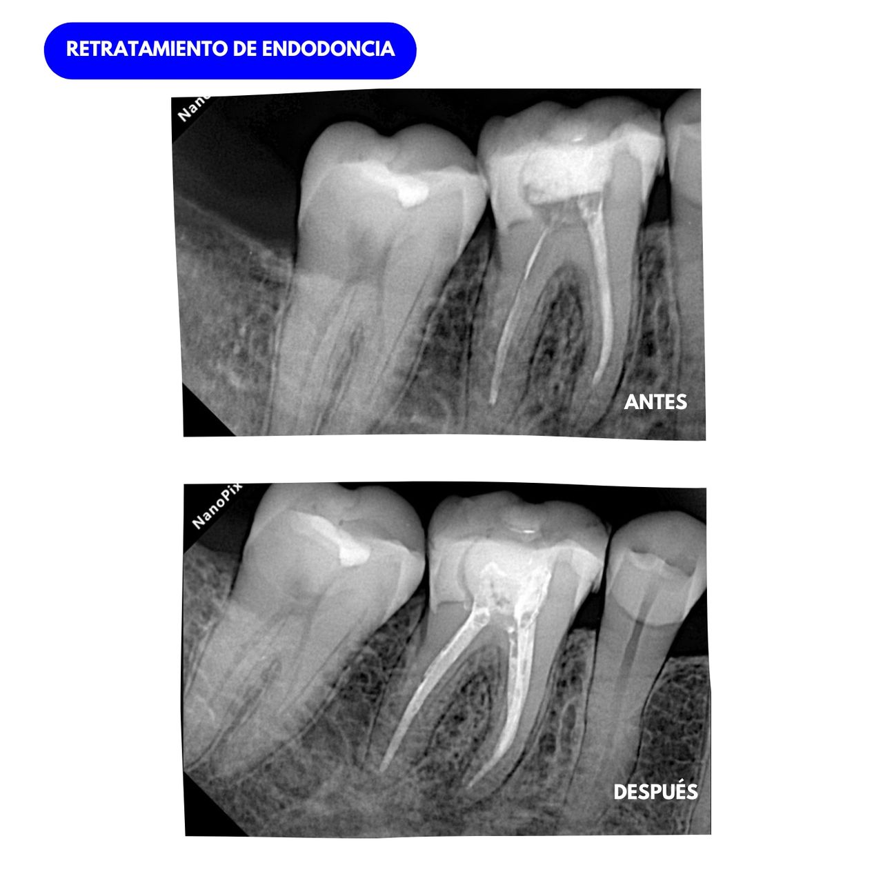 Juliana Vanegas Sánchez-5