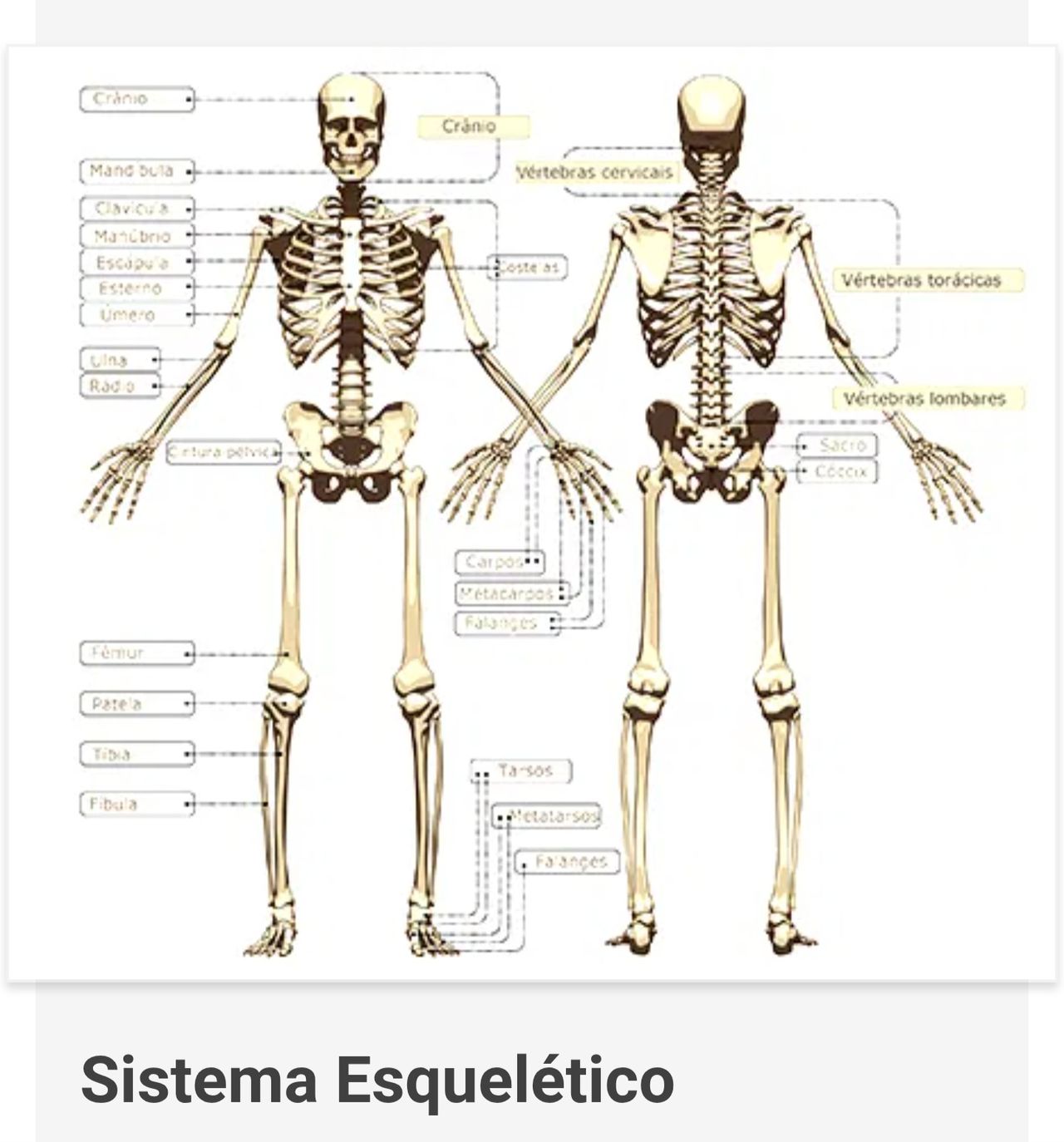 Danilo Sendem-3