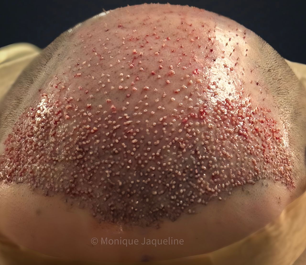 Monique Jaqueline Pereira-9