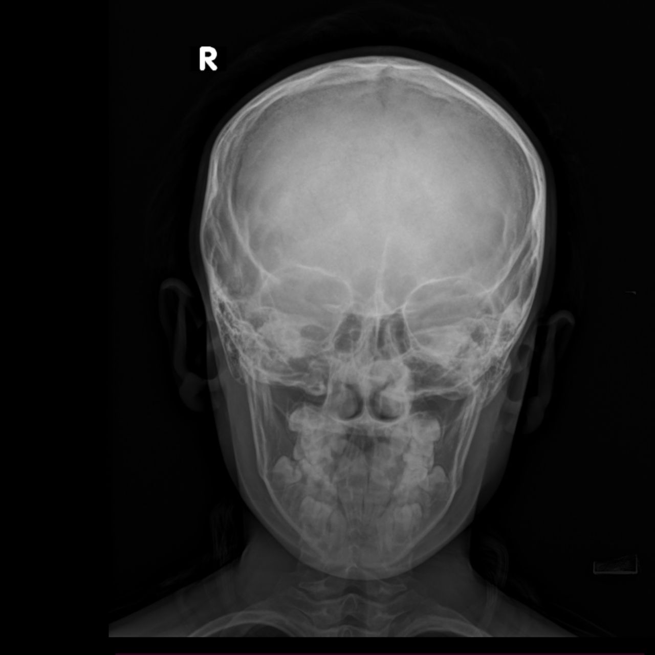 David Tafur Muñoz-1111