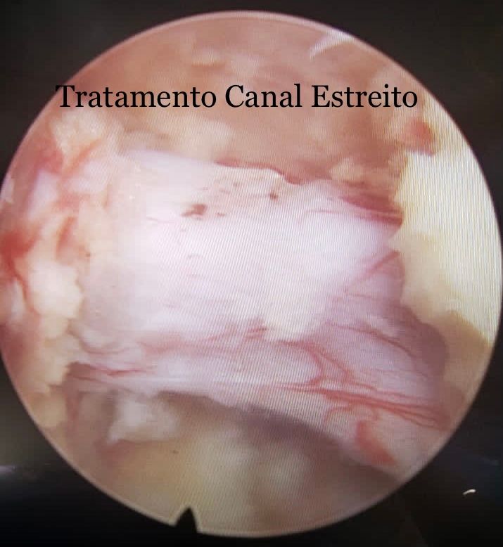 Gabriel Moretti Domingues-4