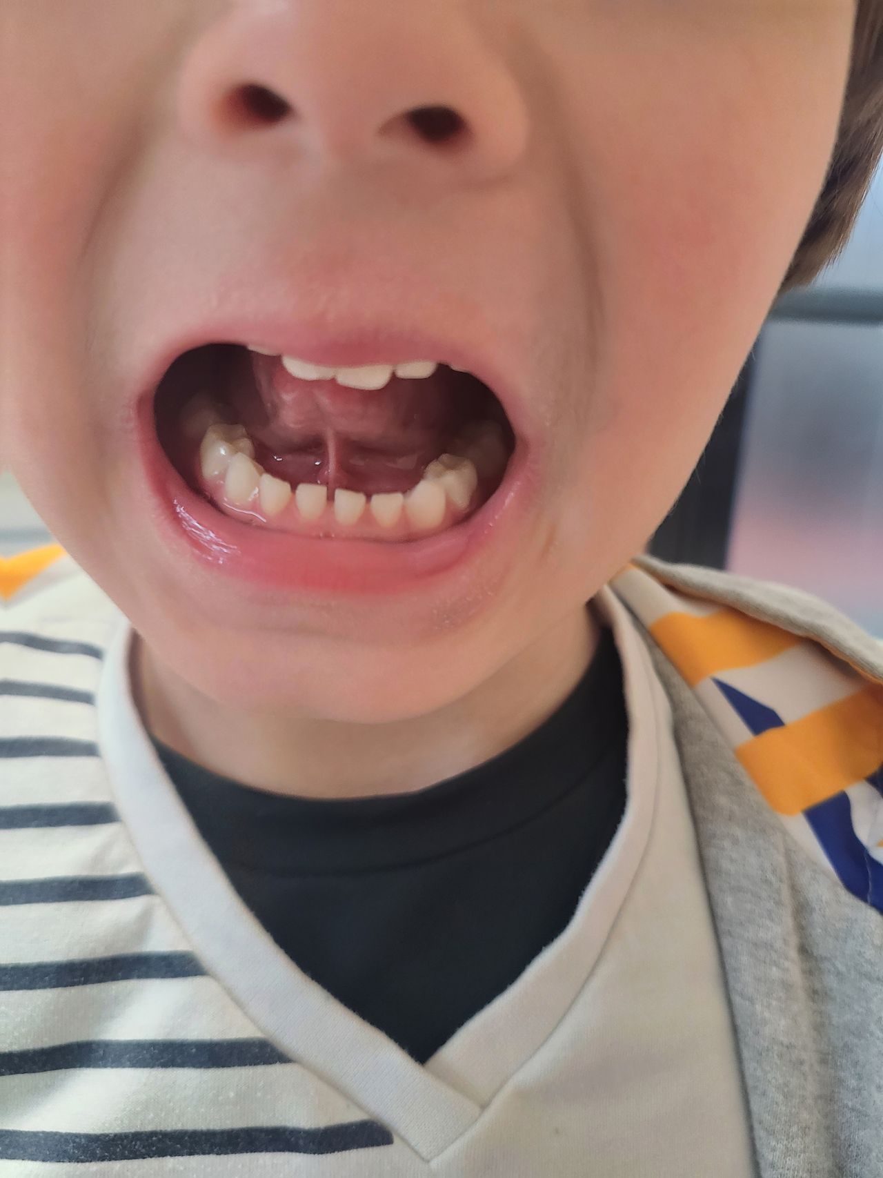 Josiane Aparecida  De Magalhães Almeida Santos-2