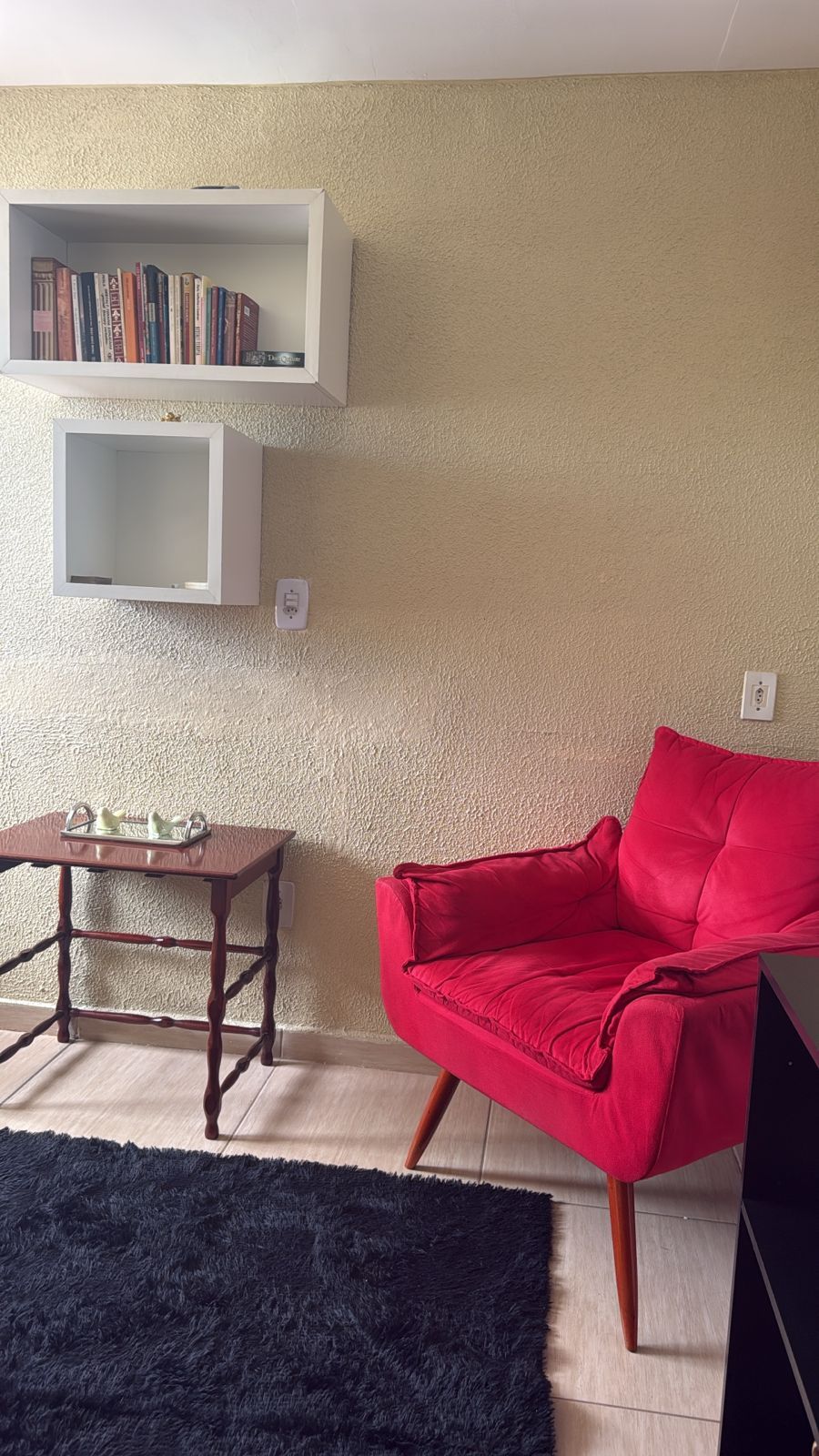 André Lemos Vieira-1