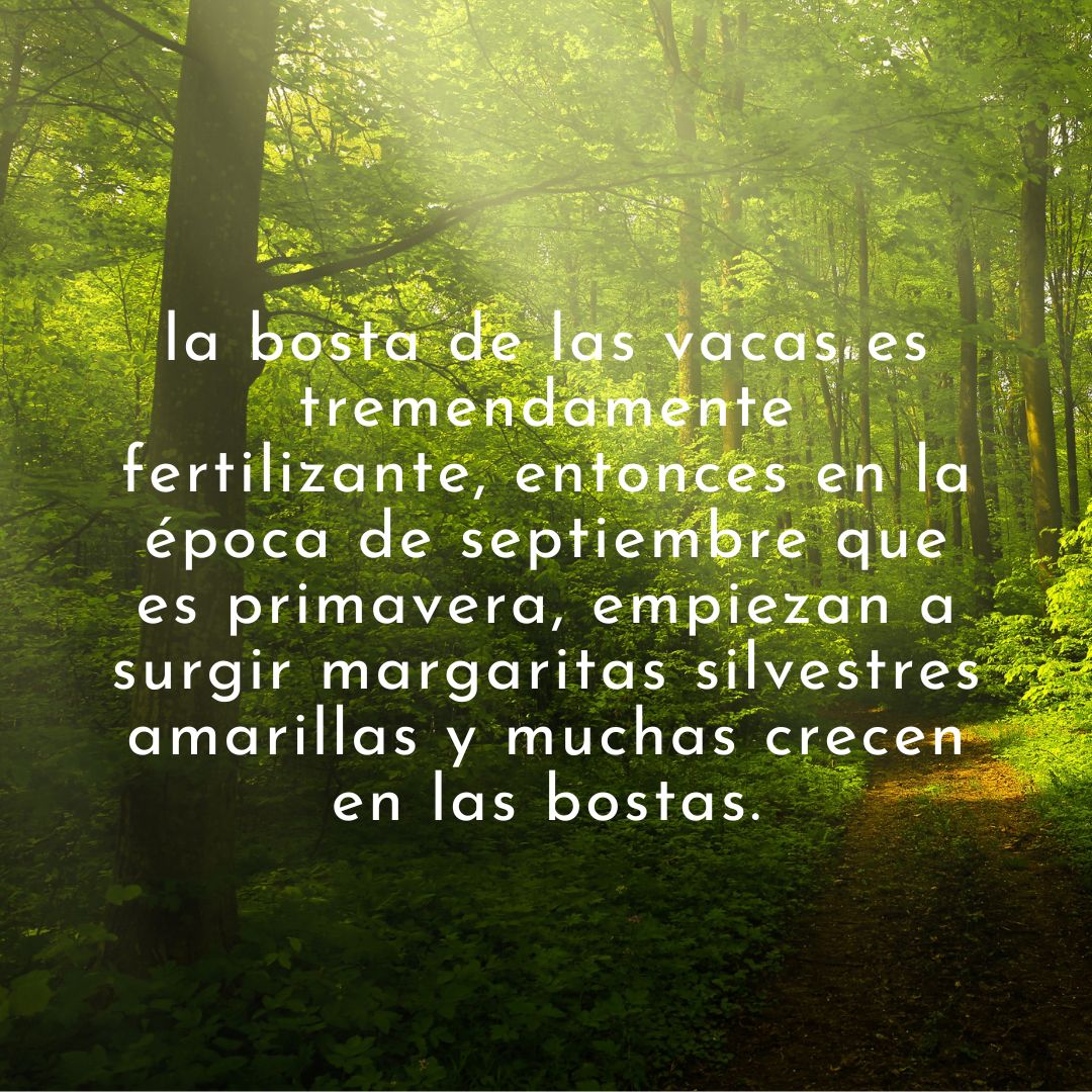 Rosario Abraham De La Fuente-3