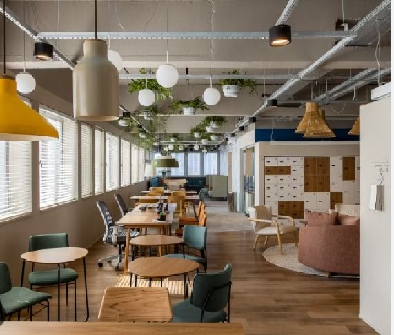 Larissa Baccoli Monge-2