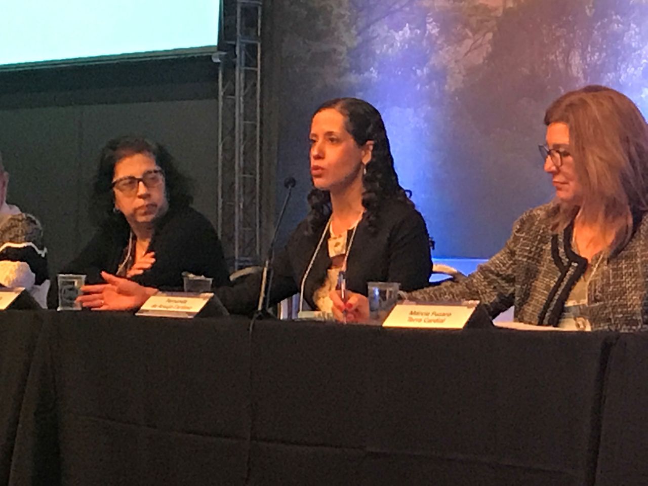 Fernanda De Araujo Cardoso-7