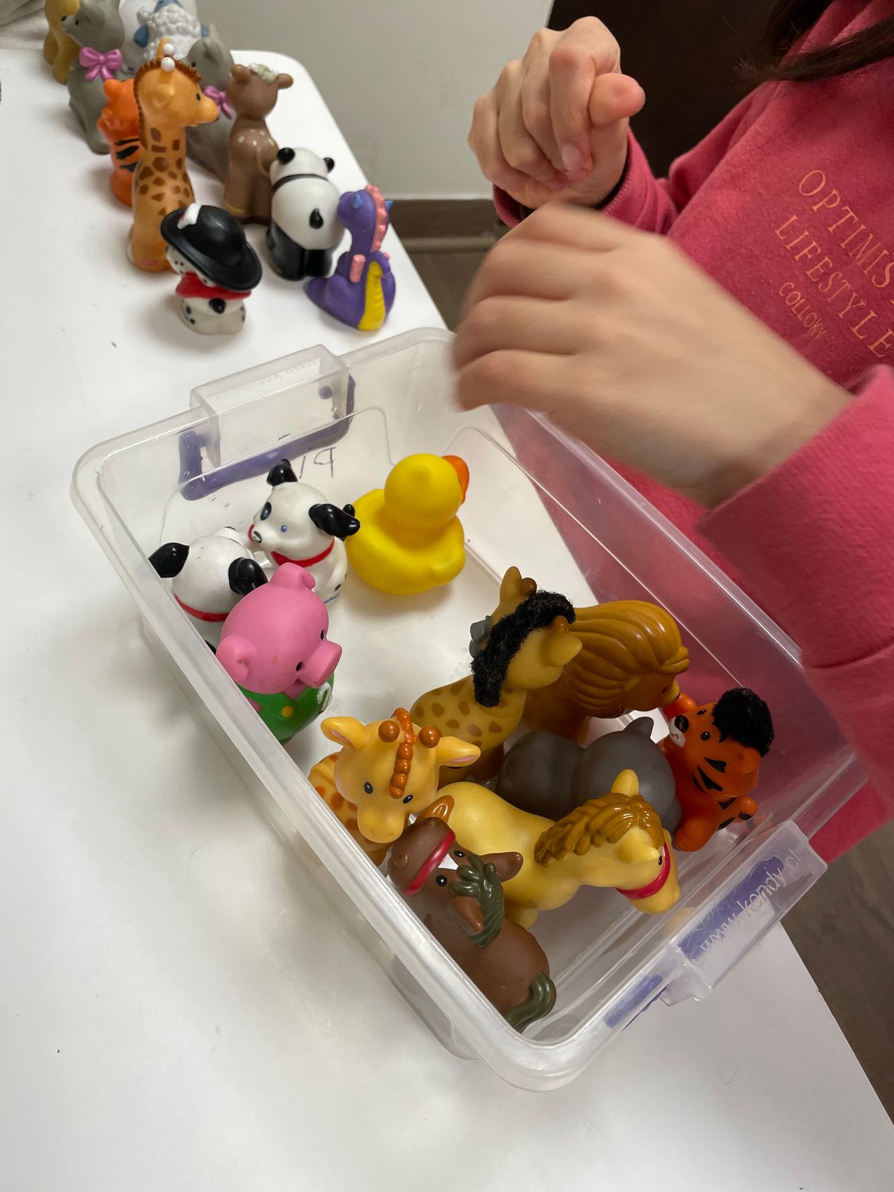 Paola Andrea Zamorano Salinas-10