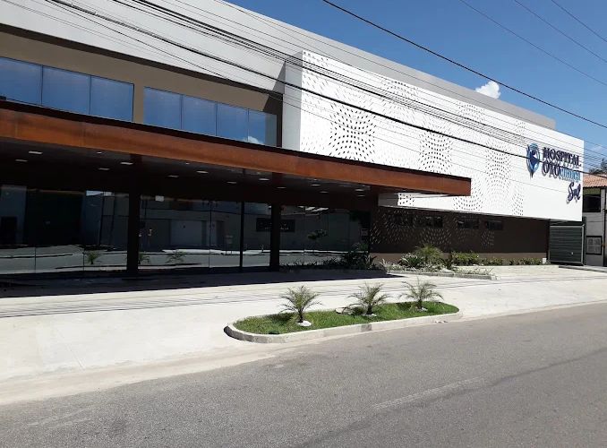Larissa Logrado Aguiar Pegado-6
